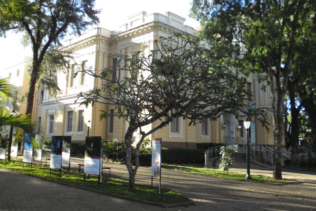 Arborização urbana Botucatu