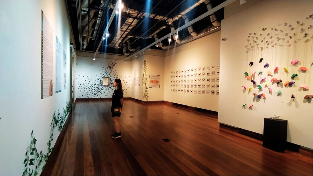 Exposição Borboletas de Botucatu – Inventário como Gesto de Resistência